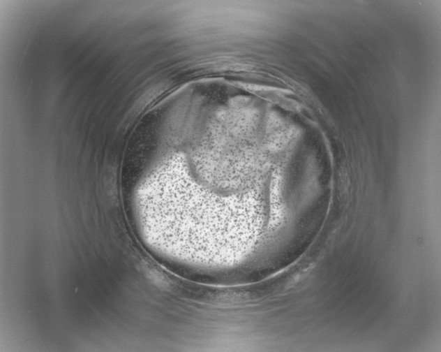 X0000054470889200508122000