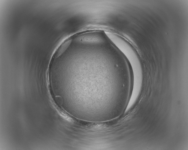 X0000054470891200508122000