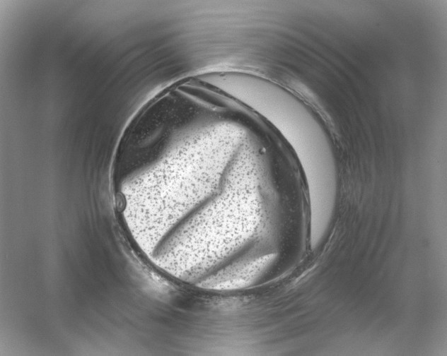 X0000054470892200508122000