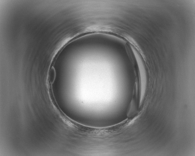 X0000054470893200508122000