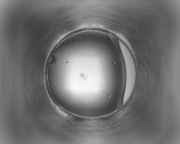 X0000054470895200508122000