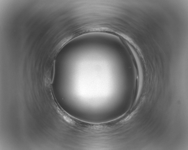 X0000054470897200508122000