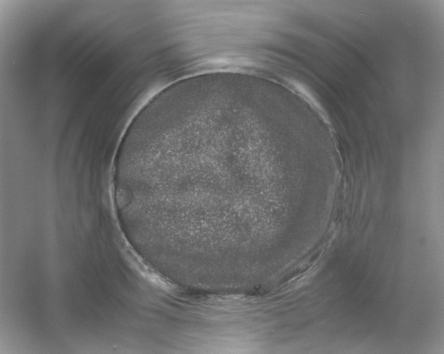 X0000054470899200508122000