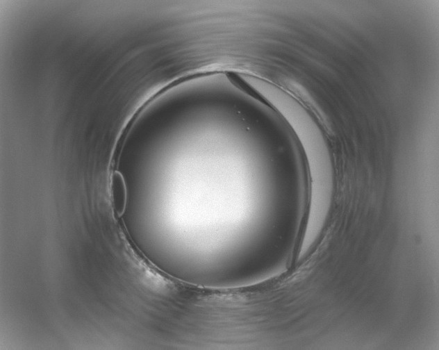 X0000054470900200508122000