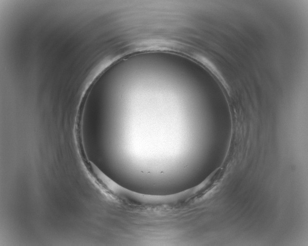 X0000054470901200508122000