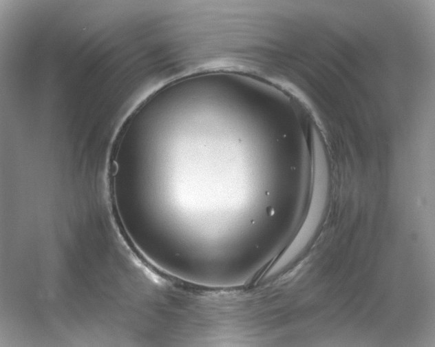 X0000054470902200508122000