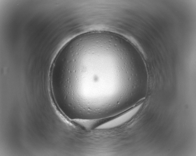 X0000054470903200508122000