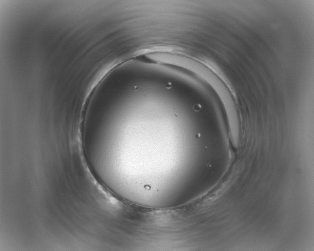 X0000054470906200508122000