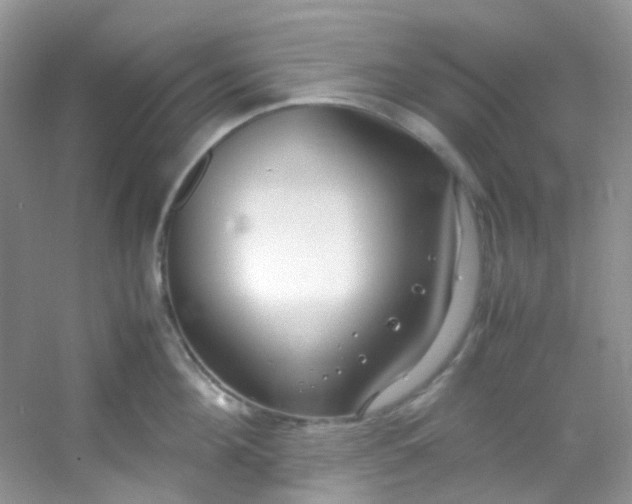 X0000054470908200508122000