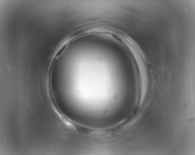 X0000054470909200508122000