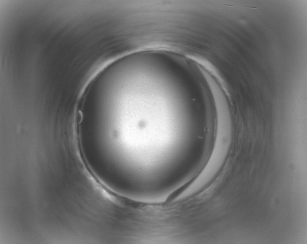 X0000054470910200508122000