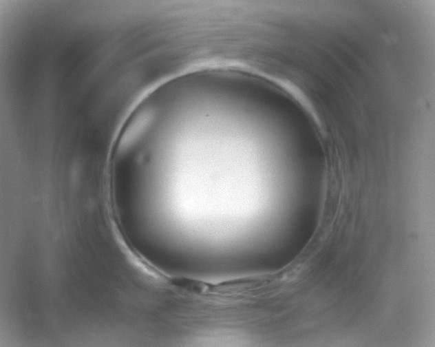 X0000054470911200508122000