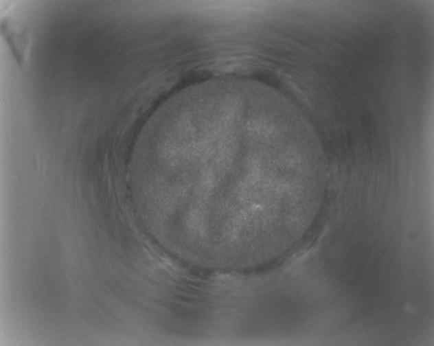 X0000054470913200508121959