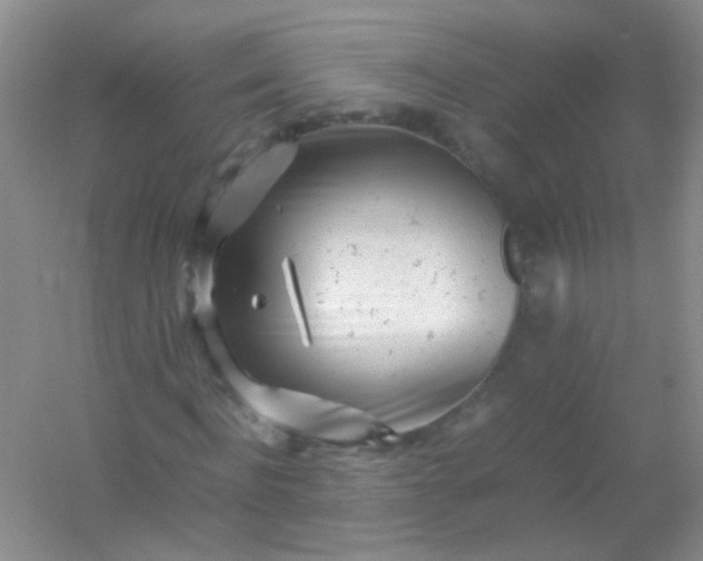 X0000054470916200508121959