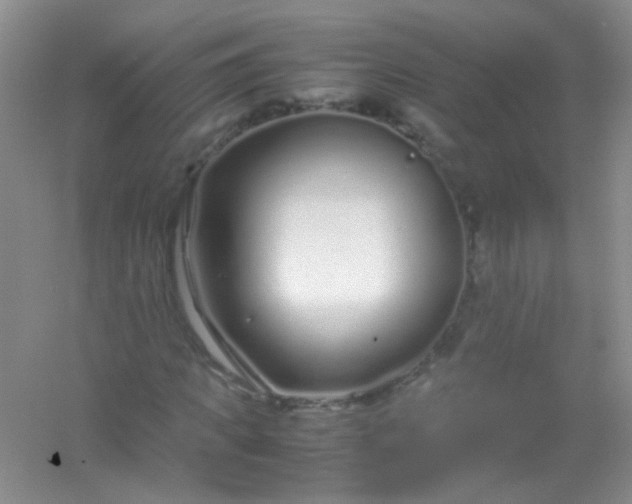 X0000054470917200508121959