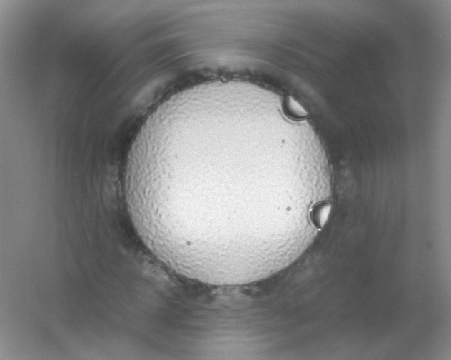 X0000054470918200508121959