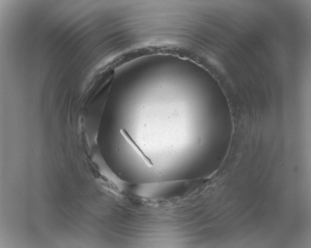 X0000054470920200508121959