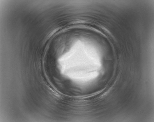 X0000054470921200508121959