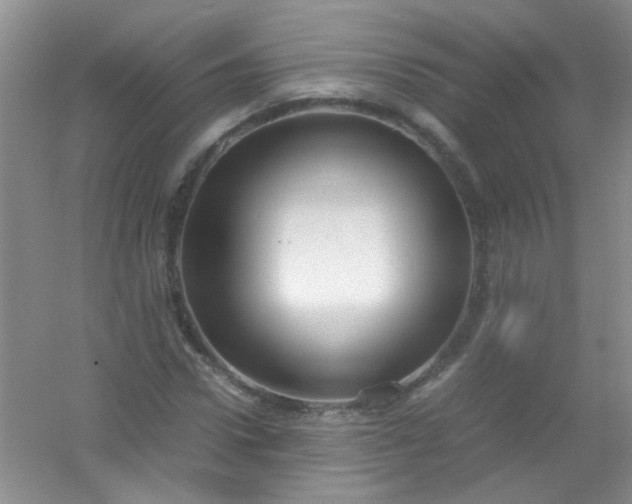 X0000054470922200508121959