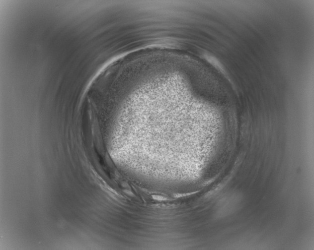 X0000054470923200508121959