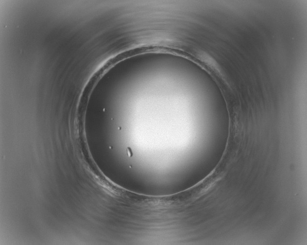 X0000054470924200508121959