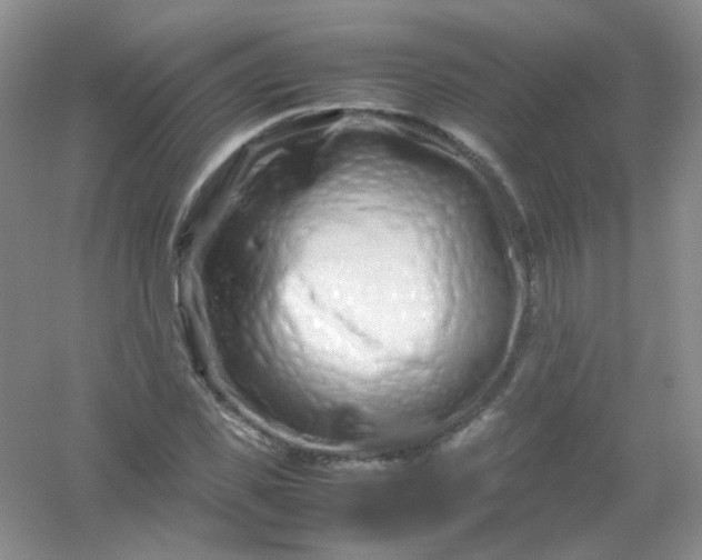 X0000054470925200508121959