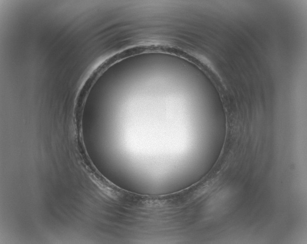 X0000054470927200508121959