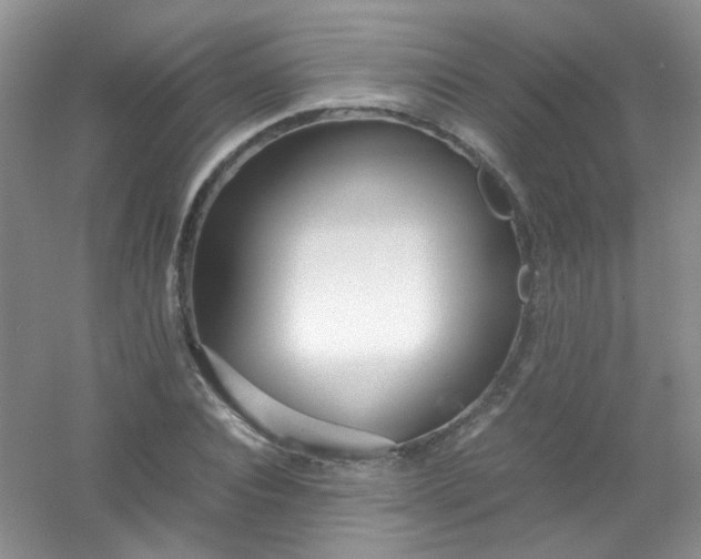 X0000054470928200508121959