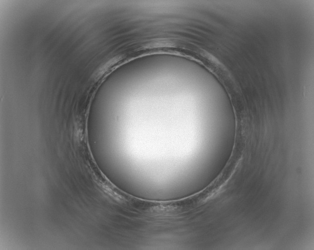 X0000054470929200508121959