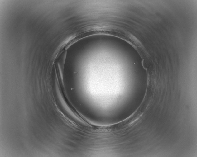 X0000054470930200508121959