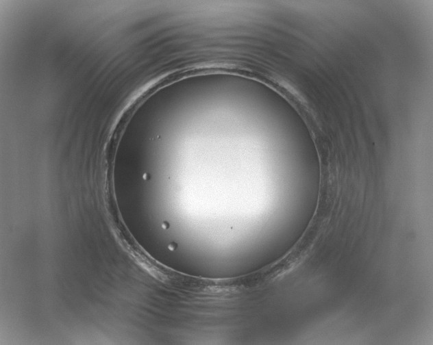 X0000054470933200508121959