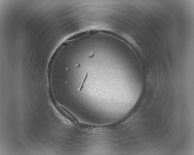 X0000054470934200508121959