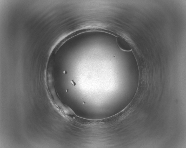 X0000054470936200508122000