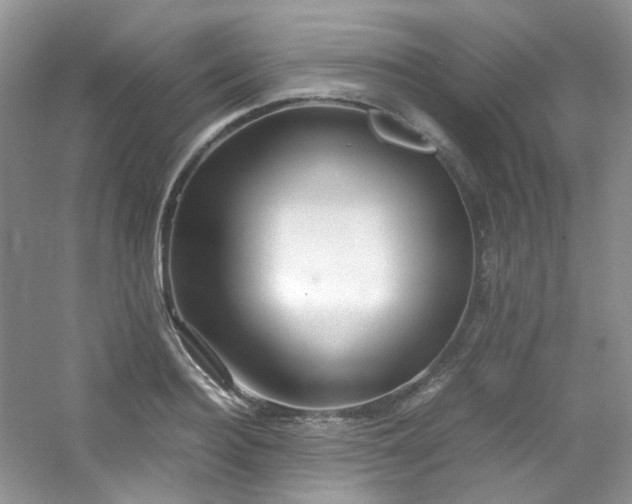 X0000054470940200508122000