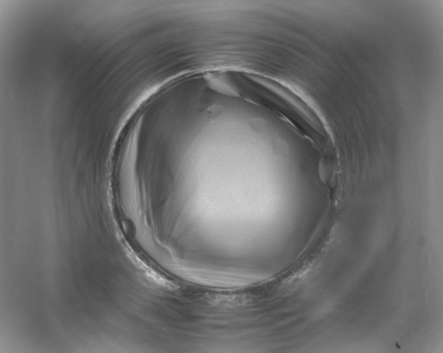 X0000054470941200508122000