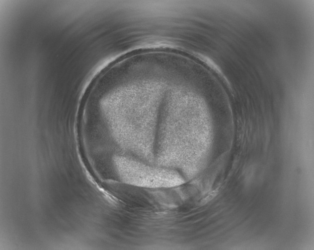 X0000054470943200508122000