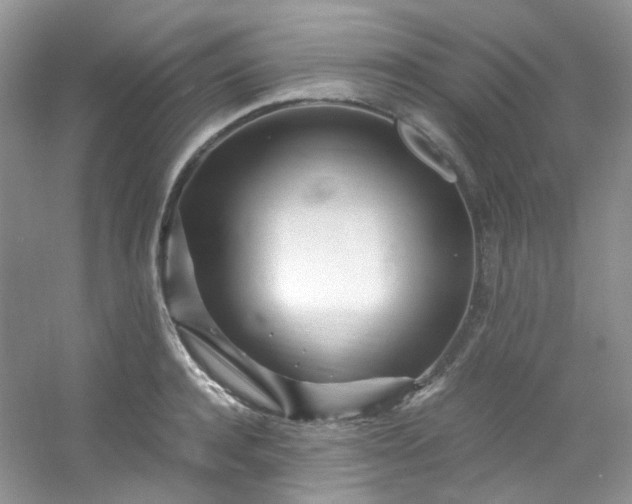 X0000054470944200508122000