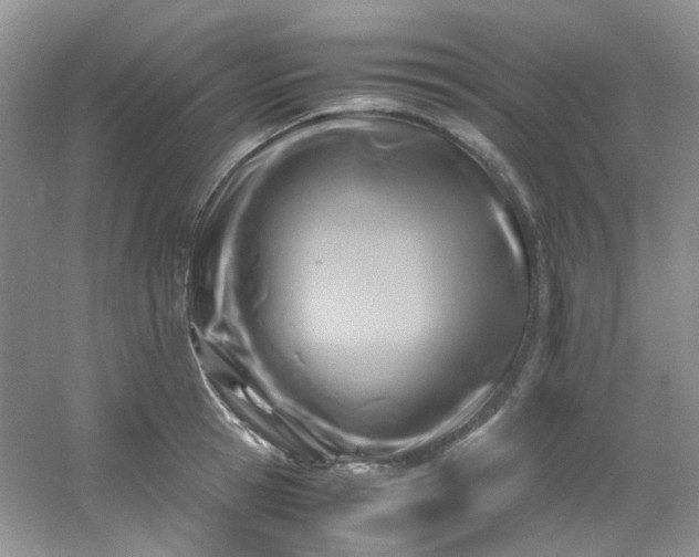 X0000054470945200508122000