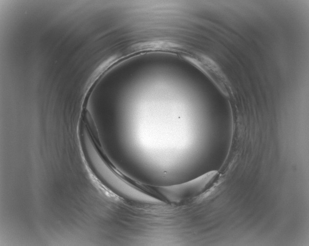 X0000054470946200508122000