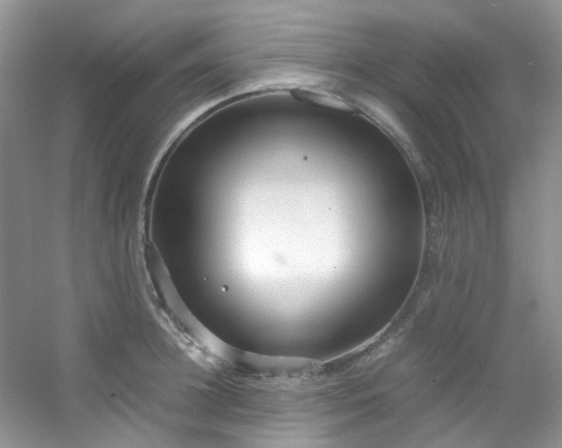 X0000054470948200508122000