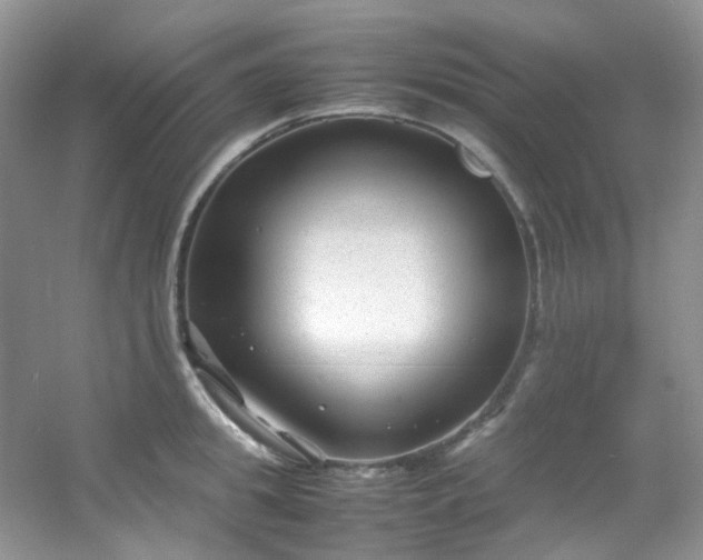 X0000054470949200508122000