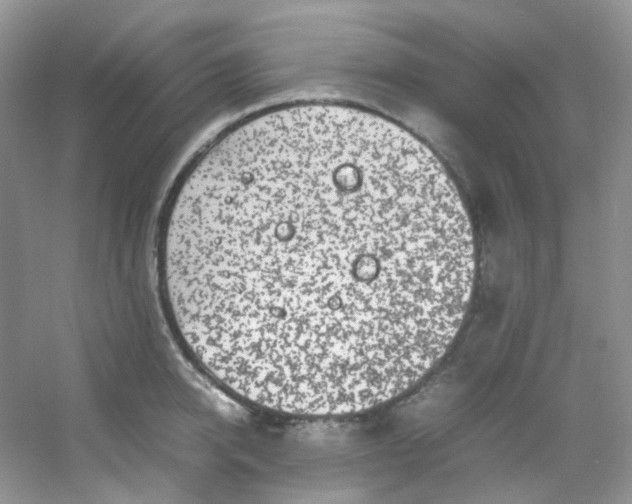 X0000054470950200508122000