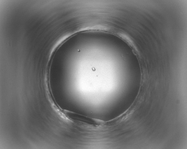 X0000054470952200508122000