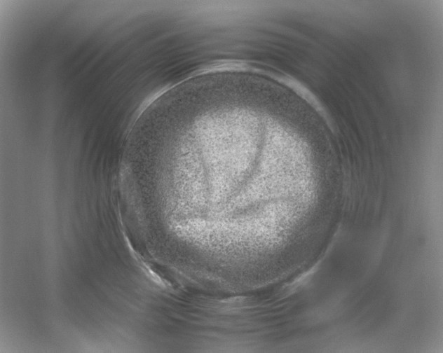 X0000054470953200508122000