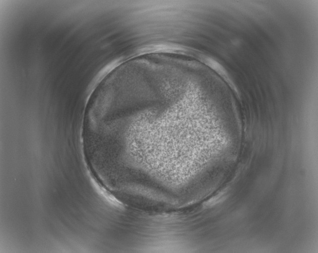 X0000054470954200508122000