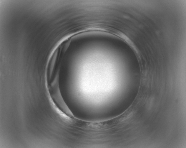 X0000054470955200508122000