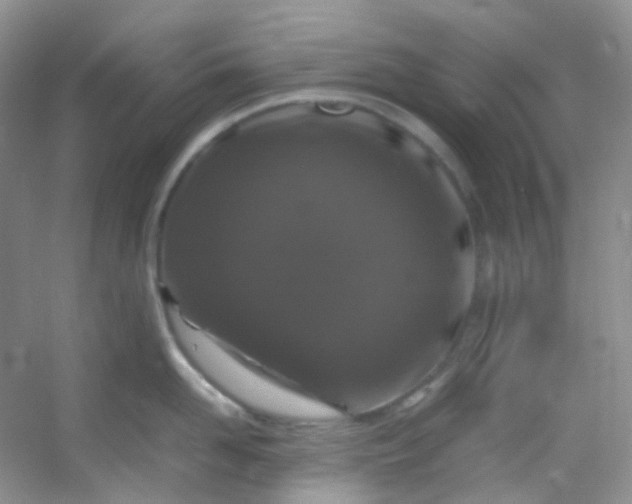 X0000054470958200508122000