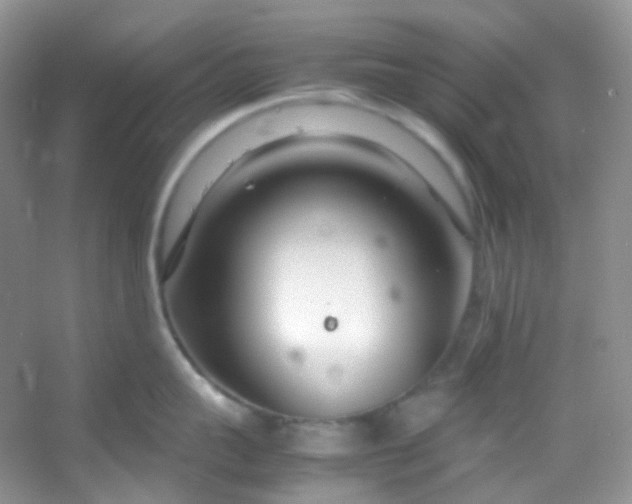 X0000054470959200508122000