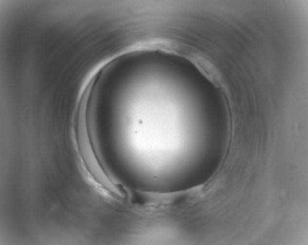 X0000054470960200508122000