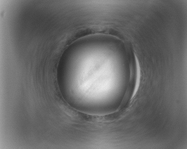 X0000054470961200508121959